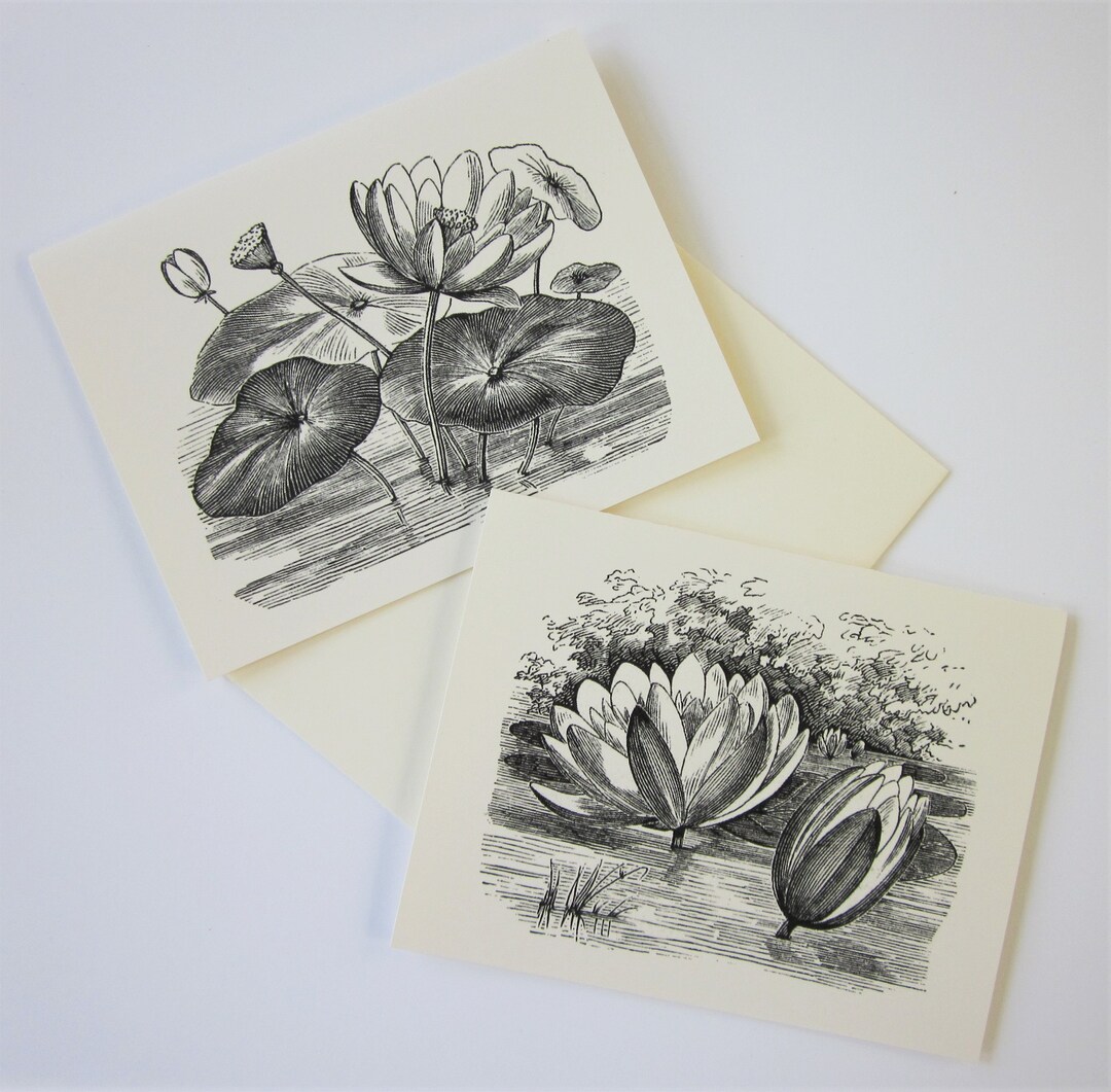 Pond Lily Floral Flower Note Cards Stationery Set of 10 Cards in White ...