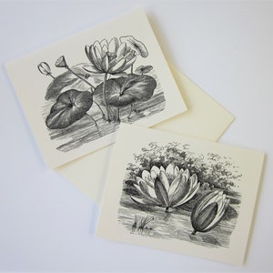 Pond Lily Floral Flower Note Cards Stationery Set of 10 Cards in White or Light Ivory with Matching Envelopes