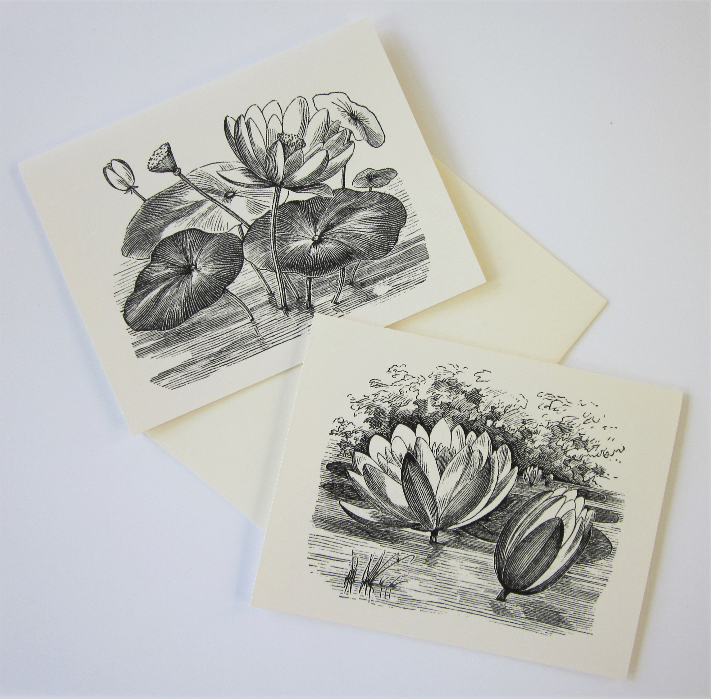 Pond Lily Floral Flower Note Cards Stationery Set of 10 Cards in White ...
