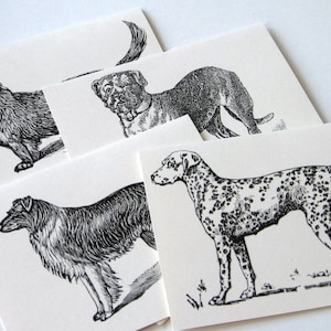 Dog Note Cards Dalmatian, Collie, Terrier, Malamute Note Cards Stationery Set of 12 Cards in White or Light Ivory with Matching Envelopes