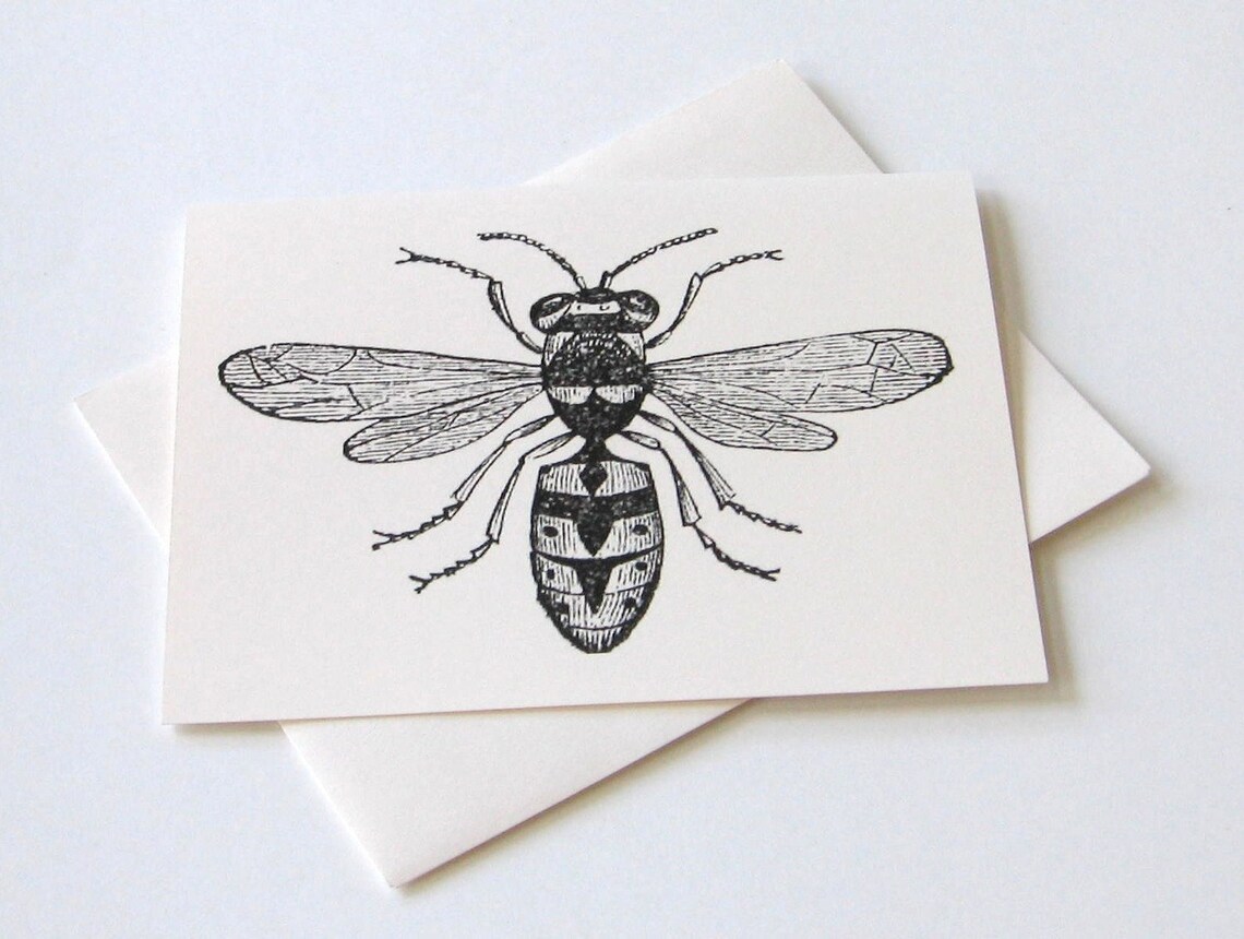 Bee Note Cards Set of 10 Etsy