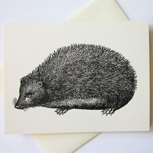 Hedgehog Note Cards Conjunto de papelaria com 10 cartões em branco ou marfim claro com envelopes correspondentes