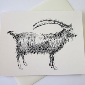 Goat Note Cards Stationery Set of 10 Cards in White or Light Ivory with Matching Envelopes image 1