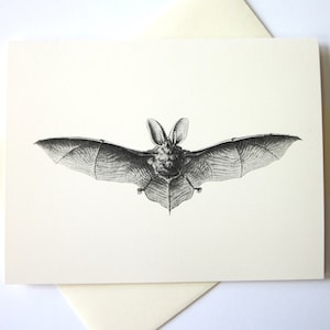 Bat Note Cards Set di 10 in bianco o avorio con buste abbinate