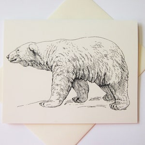 Polar Bear Note Cards Set of 10 with Matching Envelopes