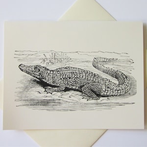 Alligator-Notizkarten-Set von 10 mit passenden Umschlägen