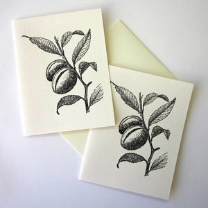 Almond Plant Note Cards Stationery Set of 10 Cards with Matching Envelopes image 2