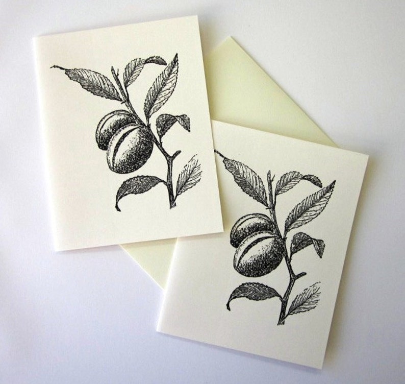 Almond Plant Note Cards Stationery Set of 10 Cards with Matching Envelopes image 2