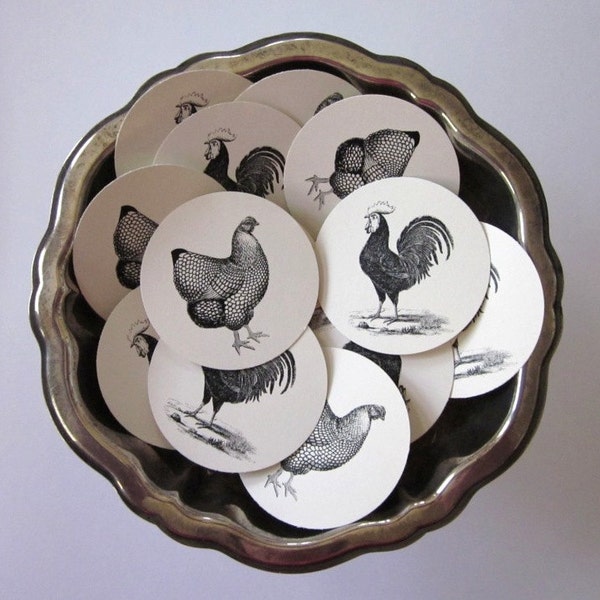 Chicken Tags Round Paper Gift Tags Set of 10