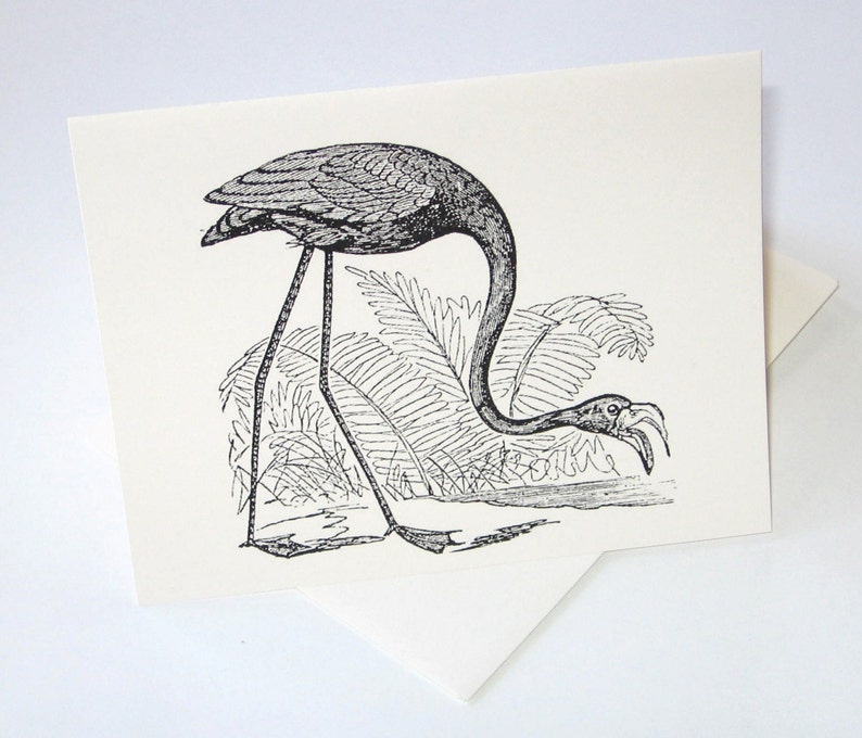 May include: Black and white illustration of a flamingo standing in a pond with ferns in the background.