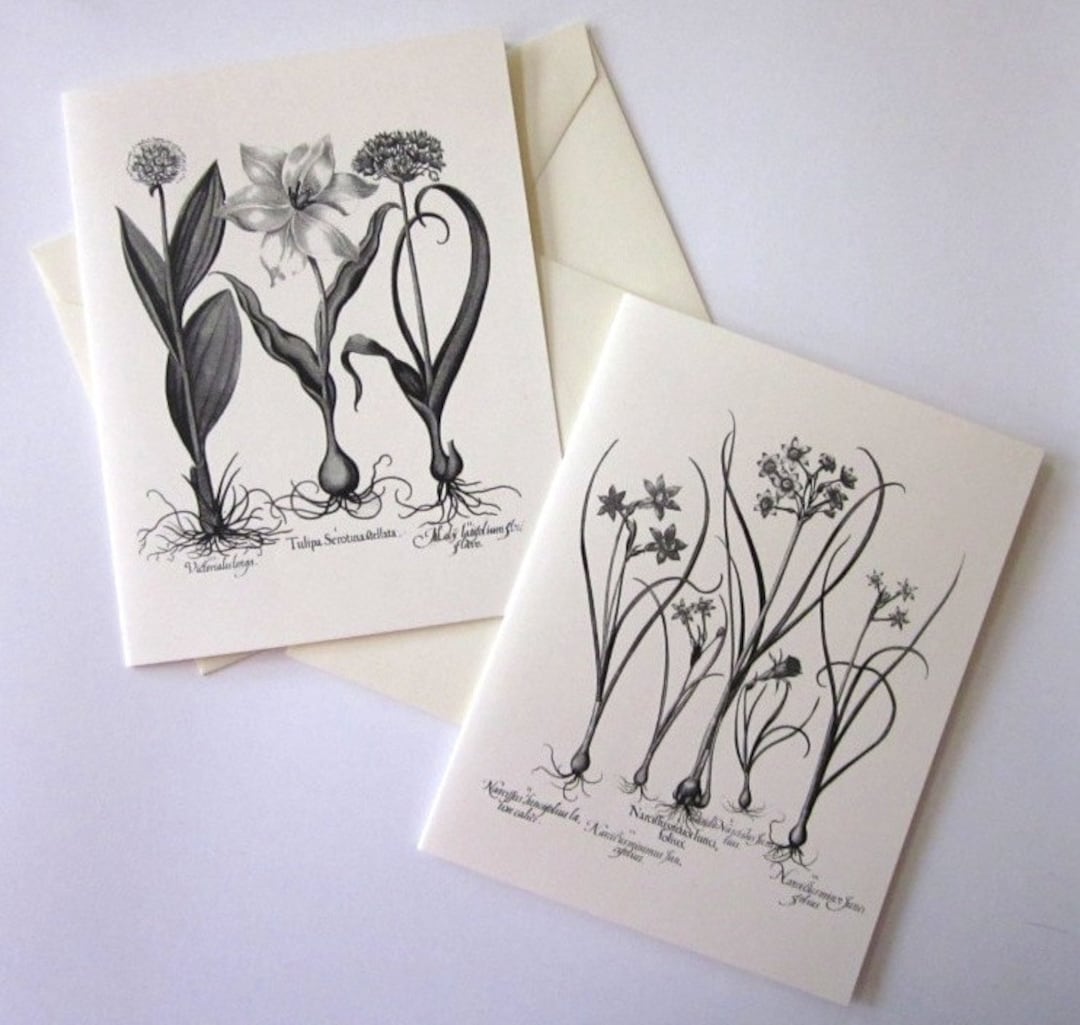 Flower Bulbs Note Cards Set of 10 With Matching Envelopes - Etsy