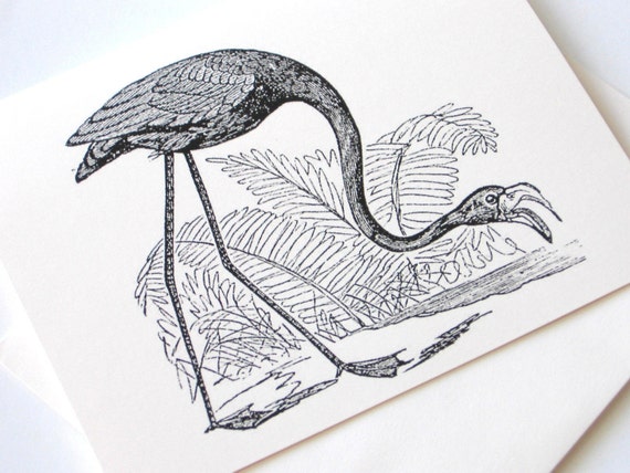 Vintage Flamingo Folded Note Card Set of 10 in White or Ivory with Matching Envelopes