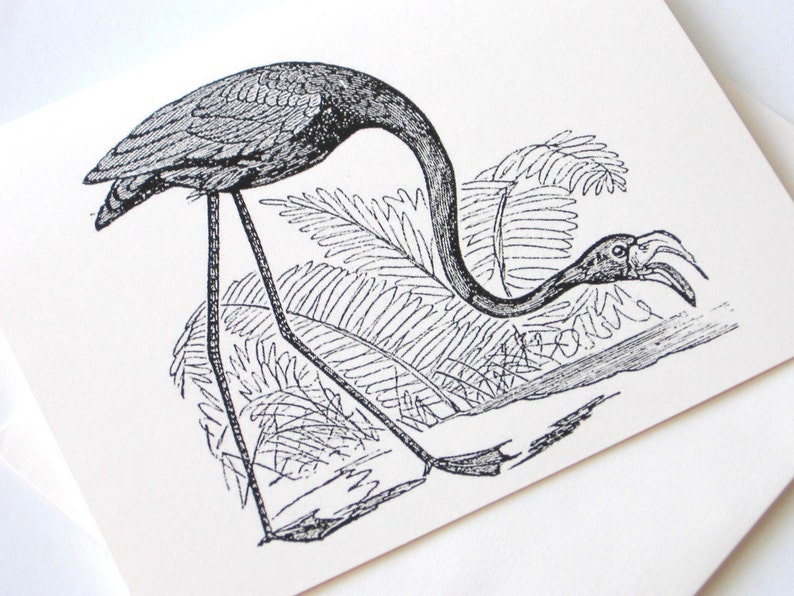 May include: Black and white line art illustration of a bird with a long neck and long legs standing in a field of tall grass.