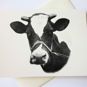 Cow Note Cards Stationery Set of 10 Cards in White or Light Ivory with Matching Envelopes