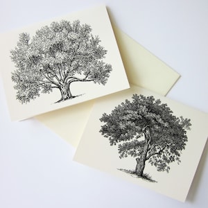 Tree Note Card Set of 10 in White or Light Ivory with Matching Envelopes 5 Images Oak Tree Stationery