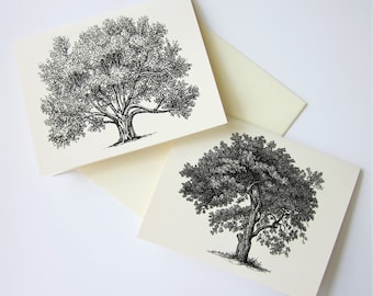 Tree Note Card Set of 10 in White or Light Ivory with Matching Envelopes 5 Images Oak Tree Stationery
