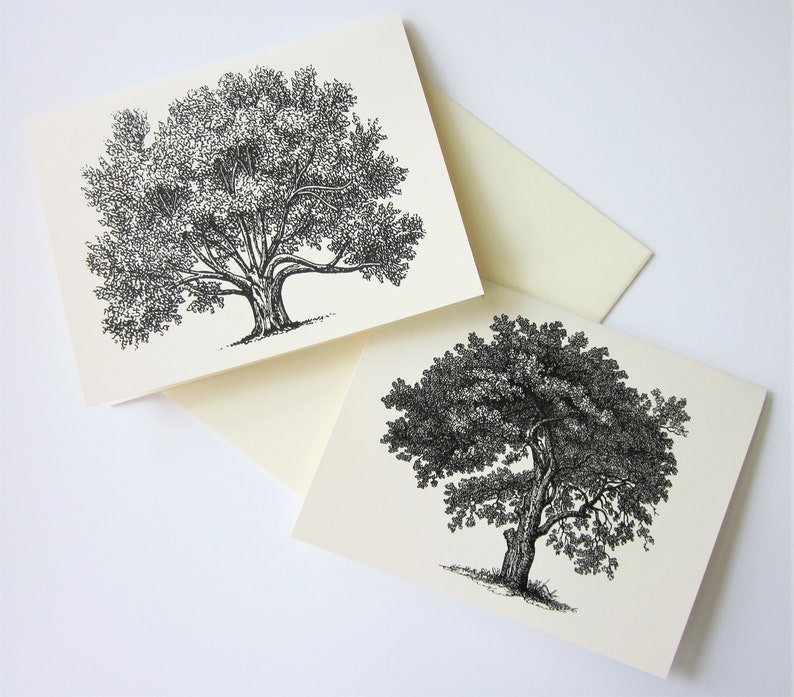 Tree Note Card Set of 10 in White or Light Ivory with Matching Envelopes 5 Images Oak Tree Stationery image 1