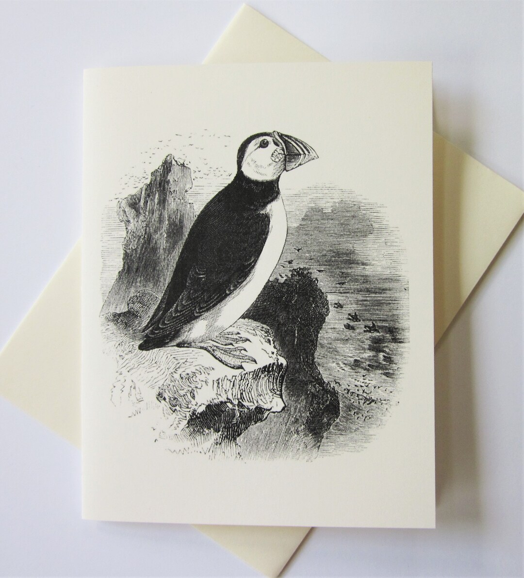 Mini Puffin Pattern Banknote Puffin Note Cards Stationery Set of 10 Cards in White or Light Ivory ...