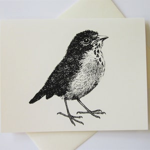 Conjunto de 10 cartões Bird Sparrow Robin em branco ou marfim claro com envelopes correspondentes