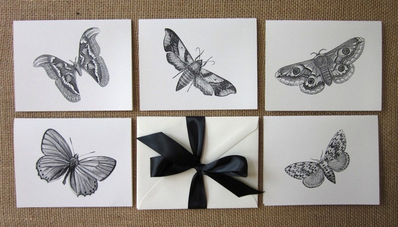 Moth Butterfly Note Cards Set of 10 With Matching Envelopes - Etsy