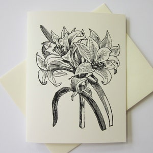 Conjunto de 10 cartões de notas de flores de lírio com envelopes correspondentes