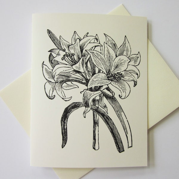 Lily Flower Note Cards Set of 10 with Matching Envelopes