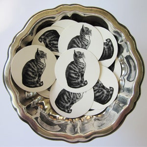 Puede incluir: Un conjunto de posavasos redondos con una ilustración de gato atigrado en blanco y negro, colocados en una bandeja plateada con borde festoneado. Los posavasos son de color crema y presentan un dibujo detallado de un gato sentado mirando hacia arriba.