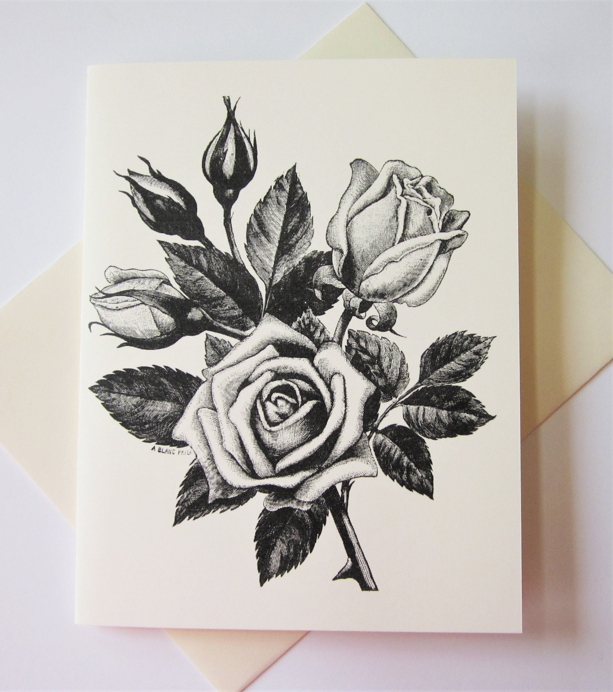 Tea Rose Flower Note Cards Set of 10 With Matching Envelopes - Etsy