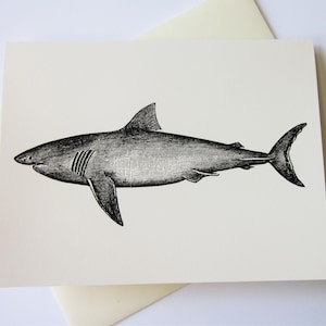 Shark Cards Set of 10 in White or Light Ivory with Matching Envelopes