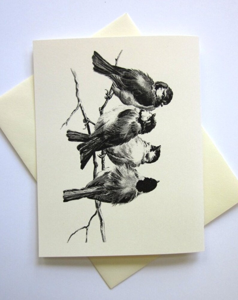 Sparrows Bird Stationery Note Cards Set of 10 with Matching Envelopes image 2