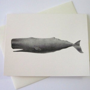 Whale Note Cards Briefpapier Set van 10 kaarten met bijpassende enveloppen
