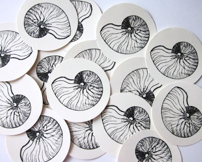 Nautilus Shell Tags Round Gift Tags Set of Ten - Etsy