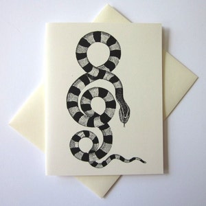 Conjunto de 10 cartões de notas de cobra com envelopes correspondentes
