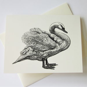 Swan Note Cards Set of 10 with Matching Envelopes image 2