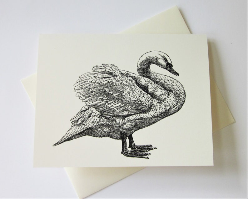 Swan Note Cards Set of 10 with Matching Envelopes image 2