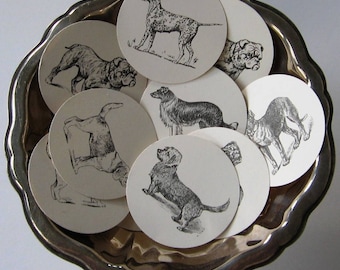 Dog Tags Round Gift Tags Set of 10