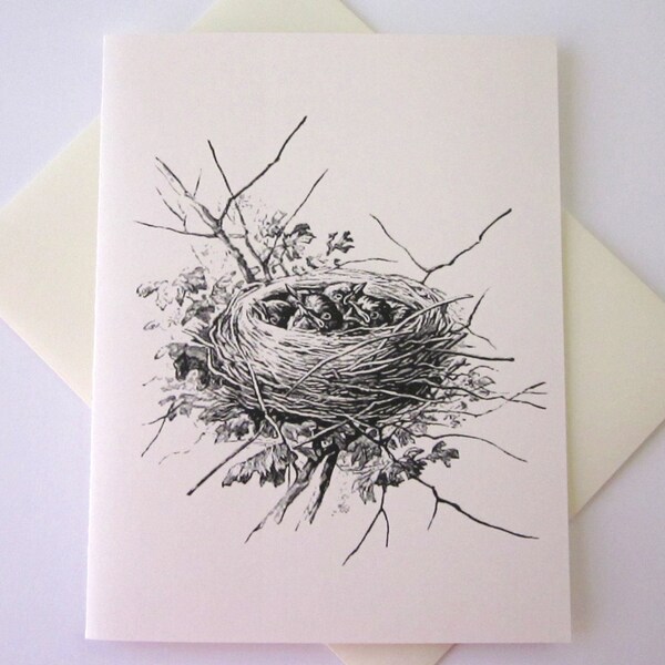 Bird Nest with Baby Birds Note Card Set of 10 in White or Light Ivory with Matching Envelopes
