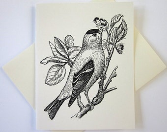 Goldfinch Bird Note Cards Stationery Set of 10 Cards in White or Light Ivory with Matching Envelopes