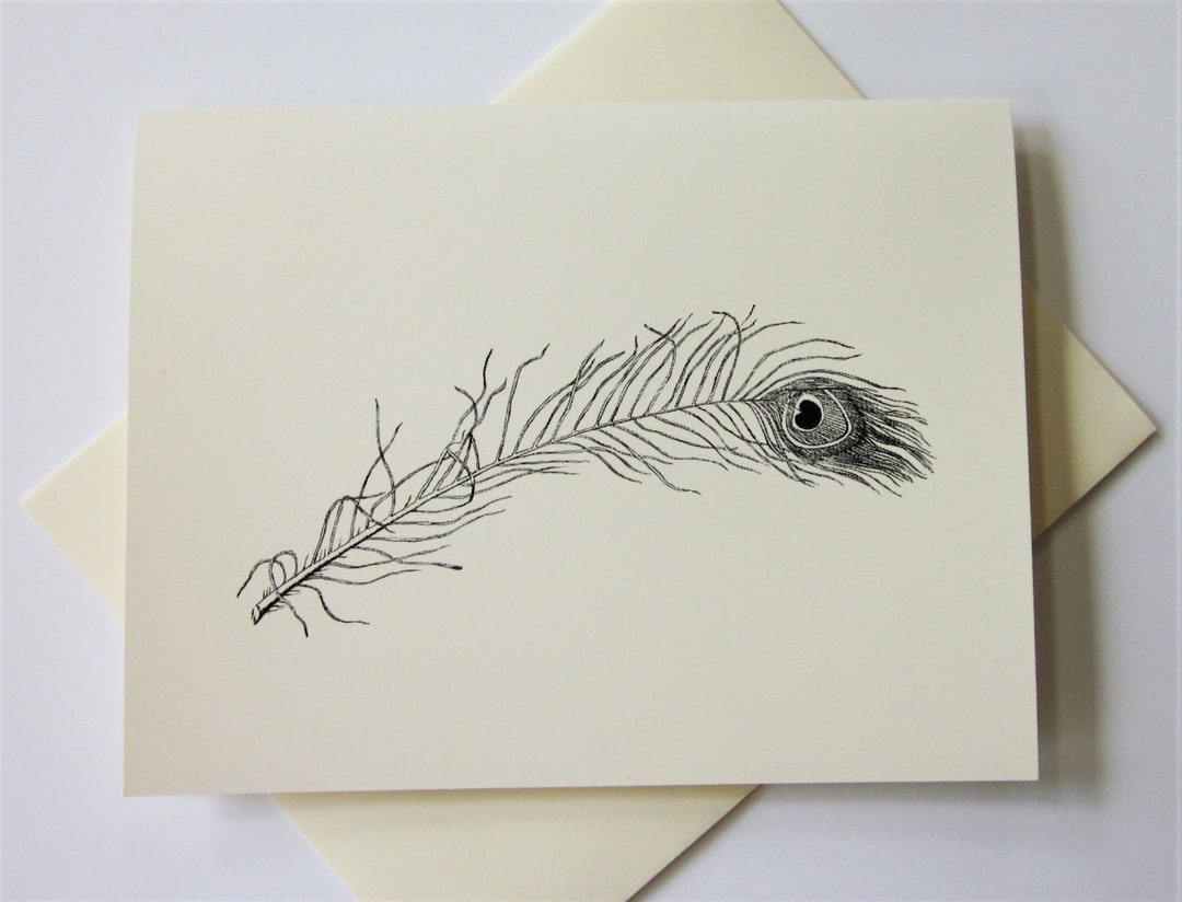 Peacock Feather Note Cards Set of 10 With Matching Envelopes - Etsy