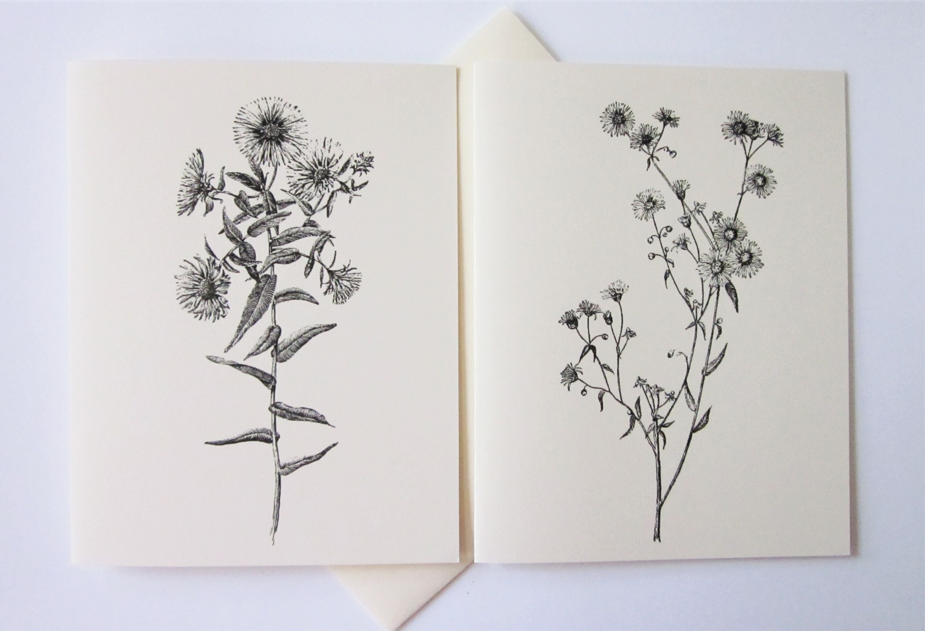 Wildflower Note Cards Set of 12 With Matching Envelopes - Etsy