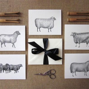 Cartes de notes d’agneau de mouton Ensemble de 10 avec enveloppes assorties