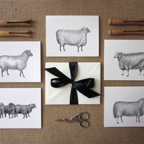 Sheep Lamb Note Cards Set of 10 With Matching Envelopes Etsy