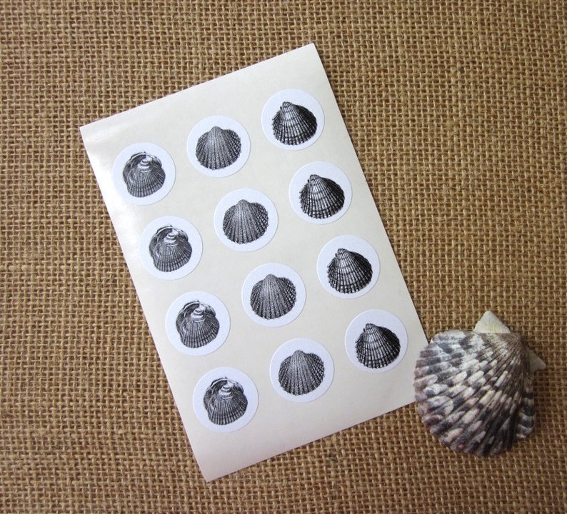 Shell Stickers One Inch Round Seals | Etsy