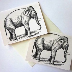 Zestaw 10 kartek z notatkami Elephant Note Cards
