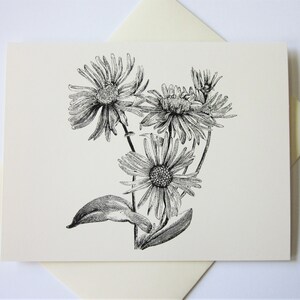Chamomile Flower Note Cards Set of 10 With Matching Envelopes - Etsy