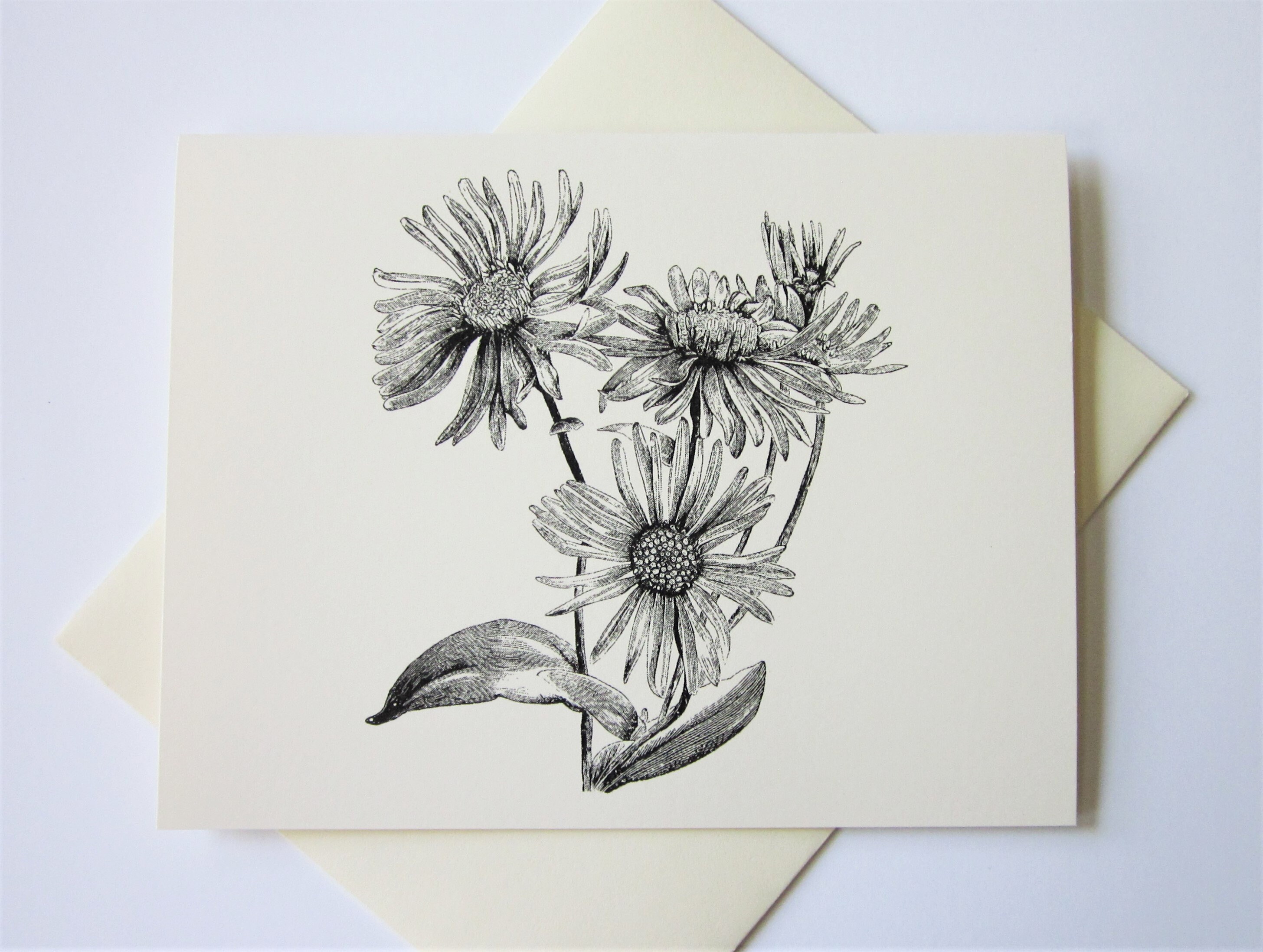 Chamomile Flower Note Cards Set of 10 With Matching Envelopes - Etsy