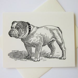 Puede incluir: Dibujo en blanco y negro de un bulldog con un collar de tachuelas. El bulldog está de pie sobre un fondo blanco.