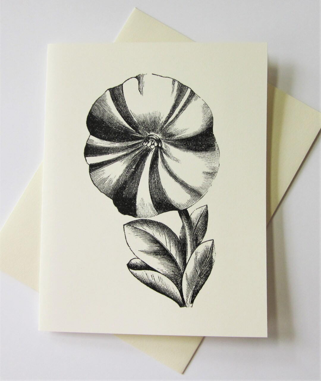 Petunia Flower Note Cards Set of 10 With Matching Envelopes - Etsy