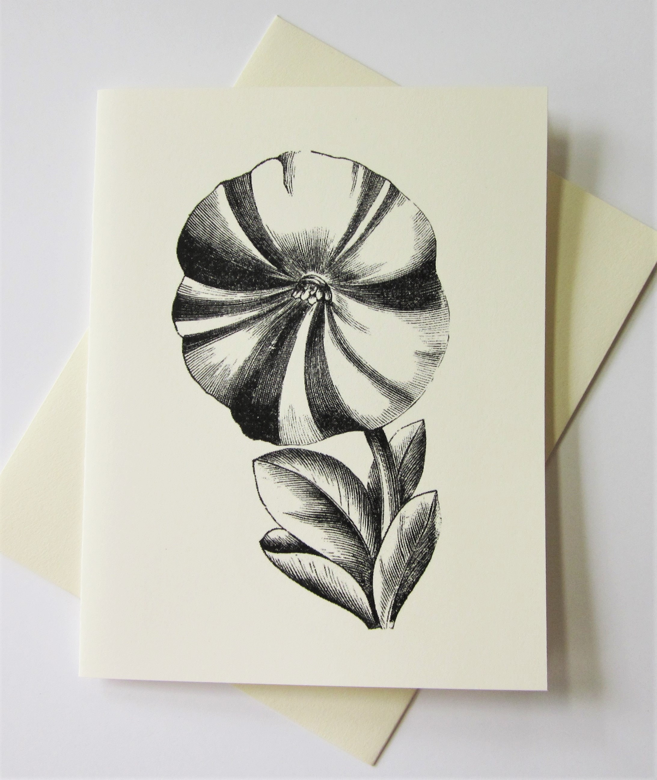 Petunia Flower Note Cards Set of 10 With Matching Envelopes - Etsy