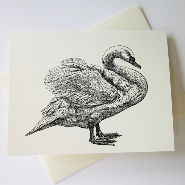 Swan Note Cards Set of 10 with Matching Envelopes